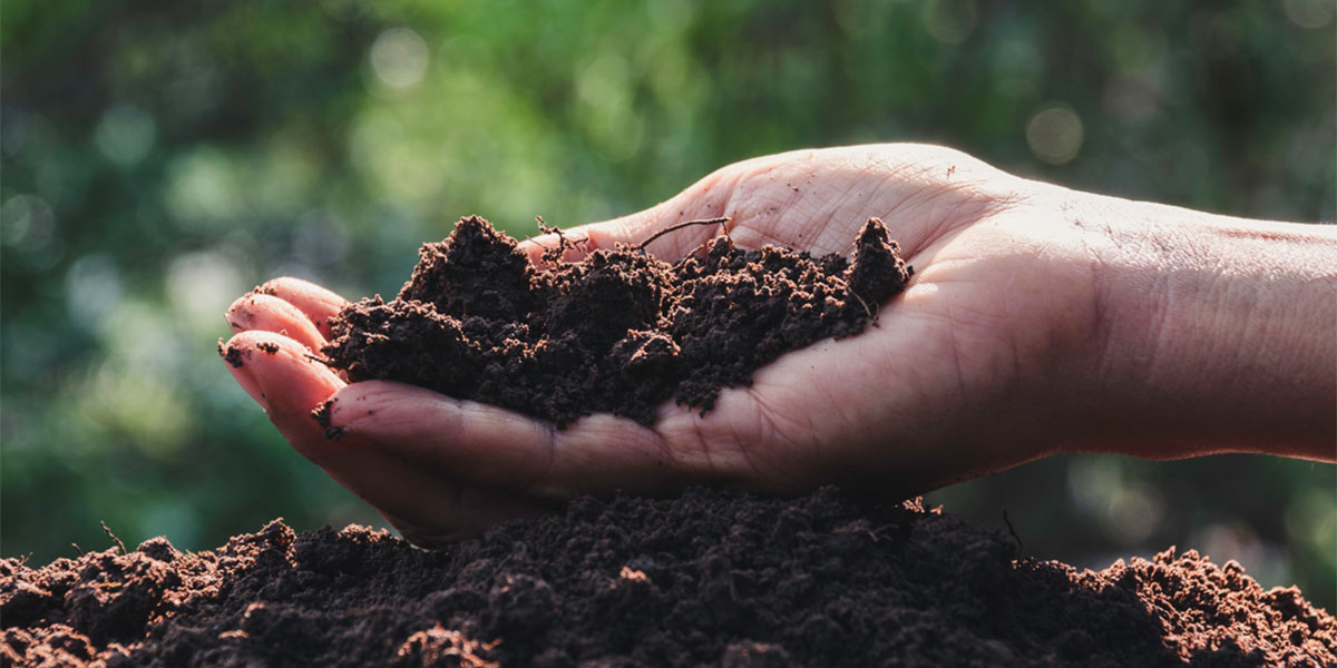 Nasce Soil Health, la piattaforma digitale per migliorare la salute del suolo